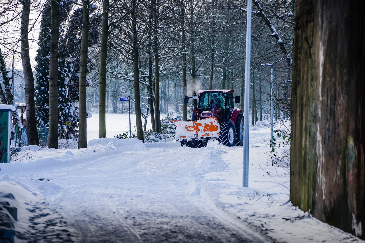 snow 5999251 1280 pixabay