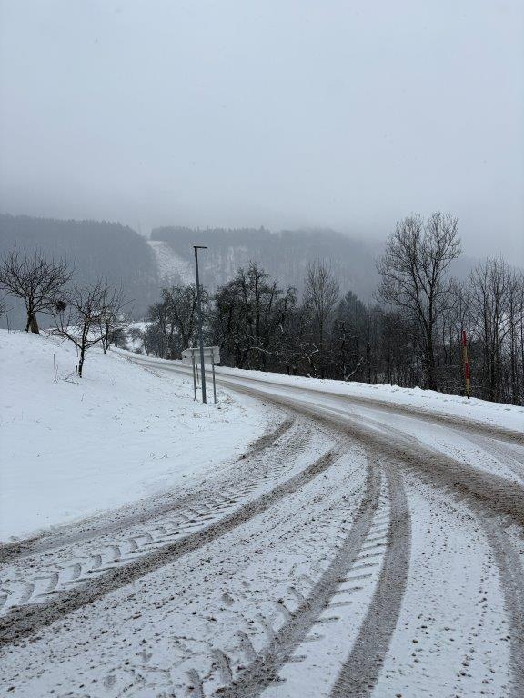 Zimska služba