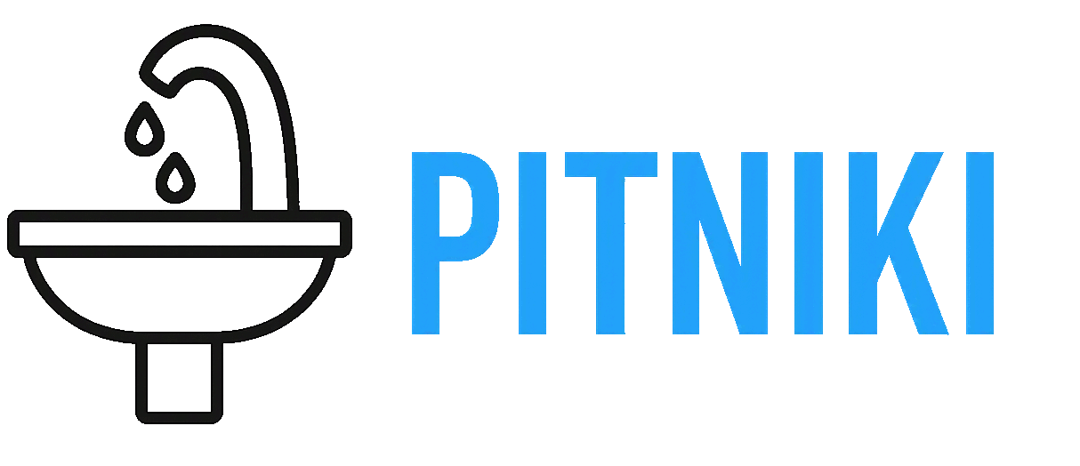 PITNIKI LOGO GIF